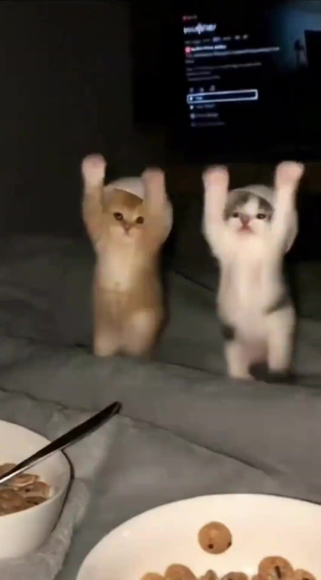 @FluffyTales