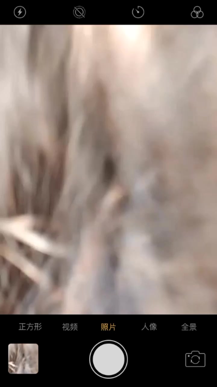 @SRISHA🫶🥹