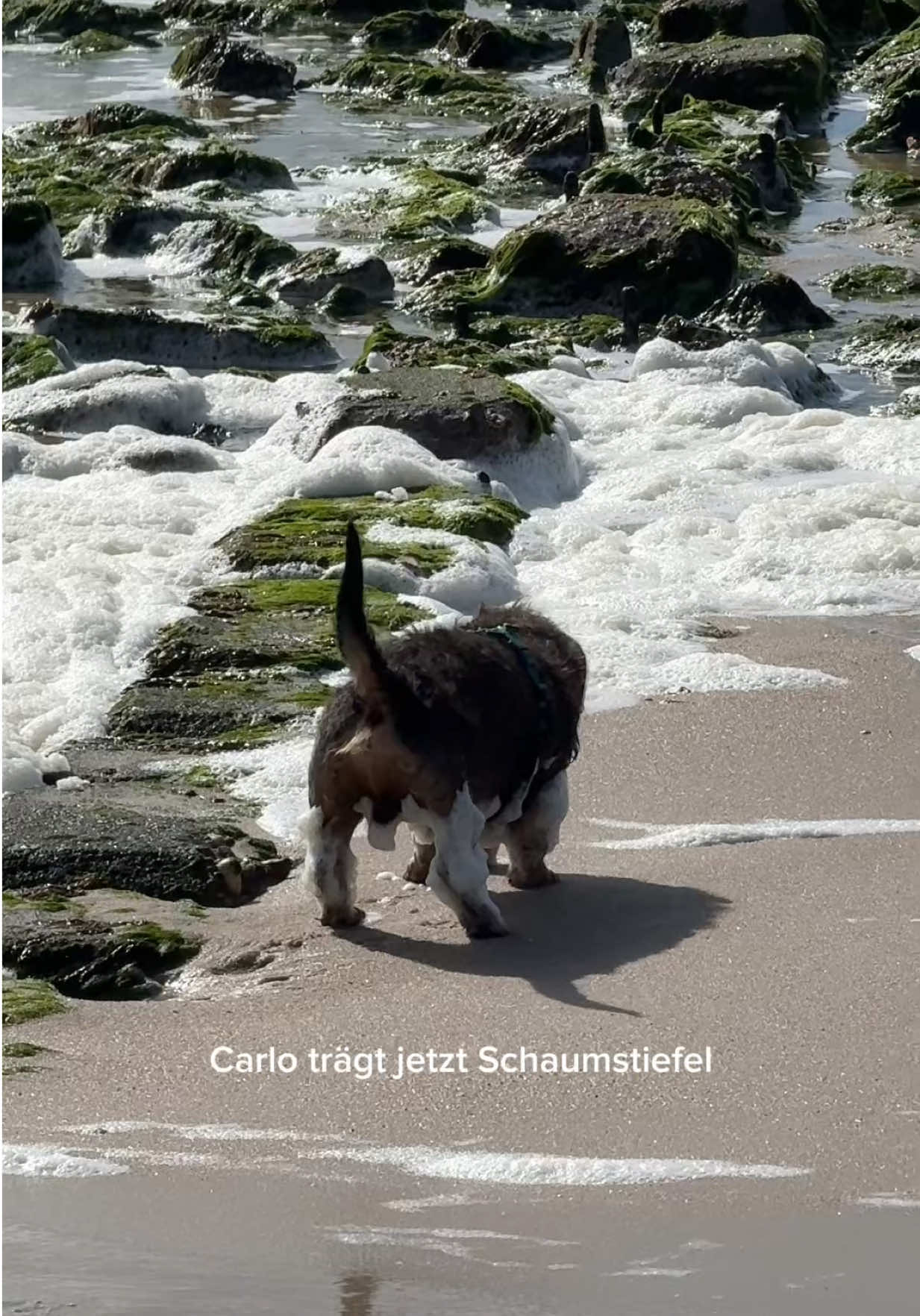 @franzi.schoene