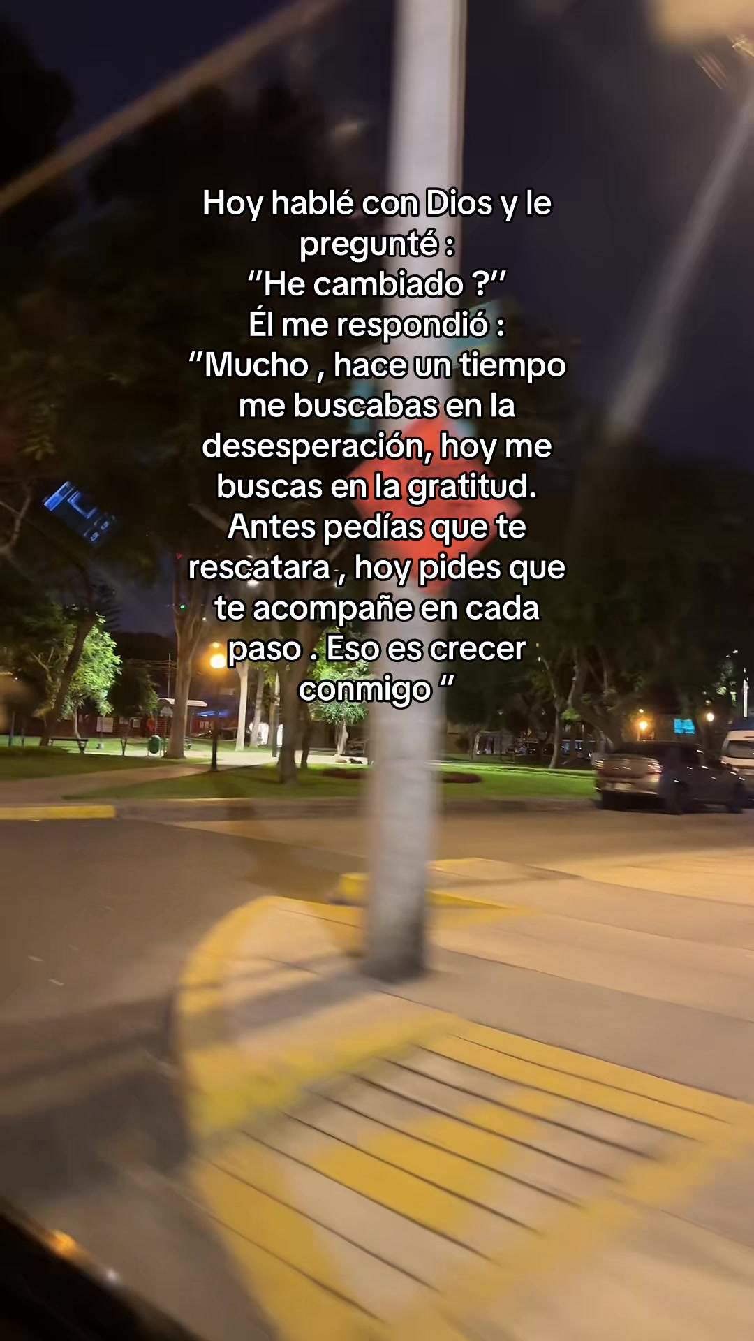 @Claudia Saavedra Basquez