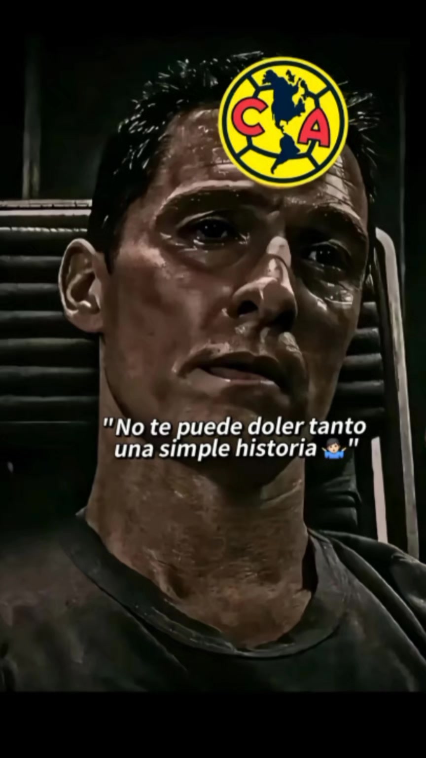 @perritostrades🤑