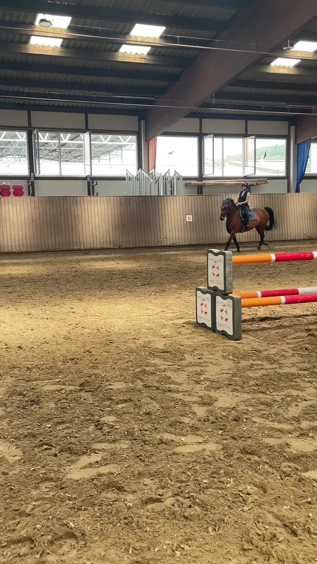 @🐎