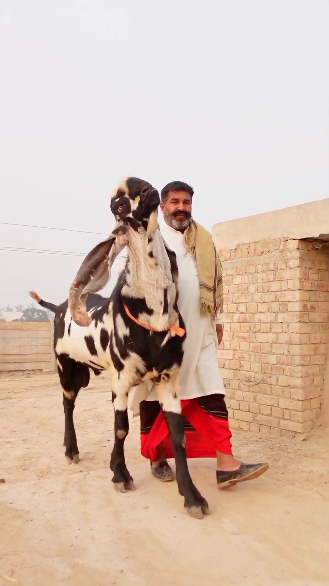 @Sufyan Gujjar