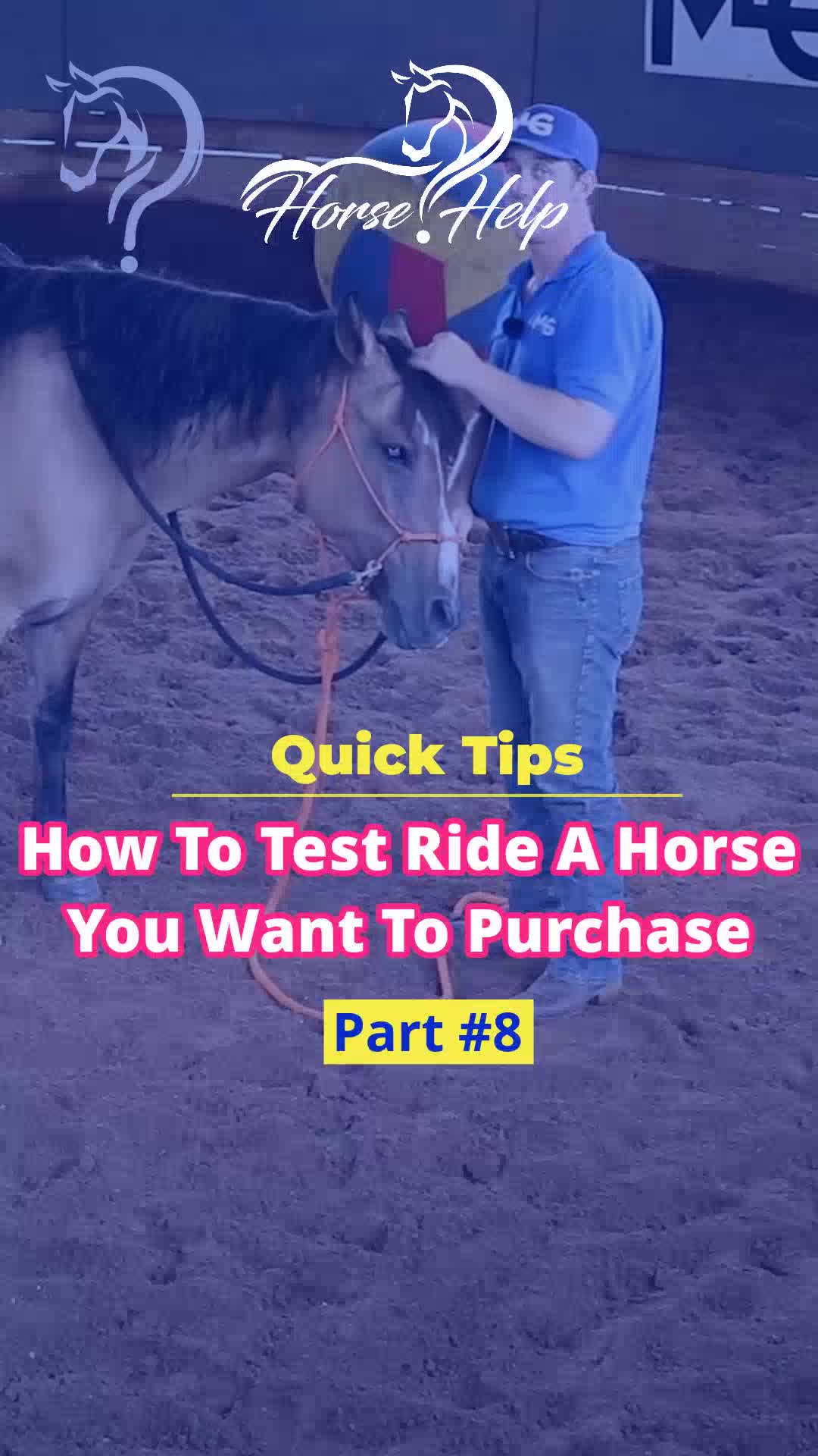 @Horse Help