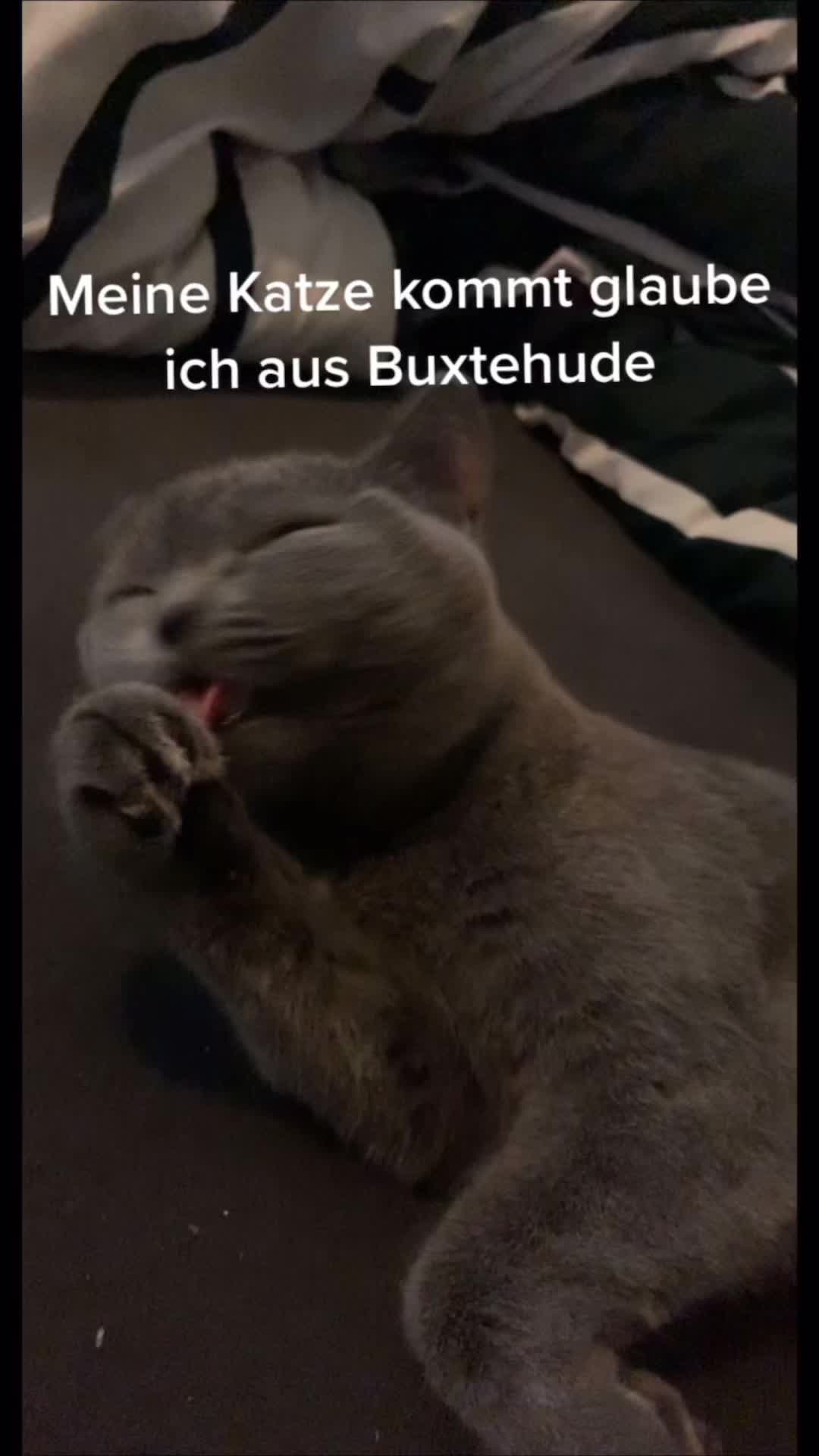 @Memes 😂