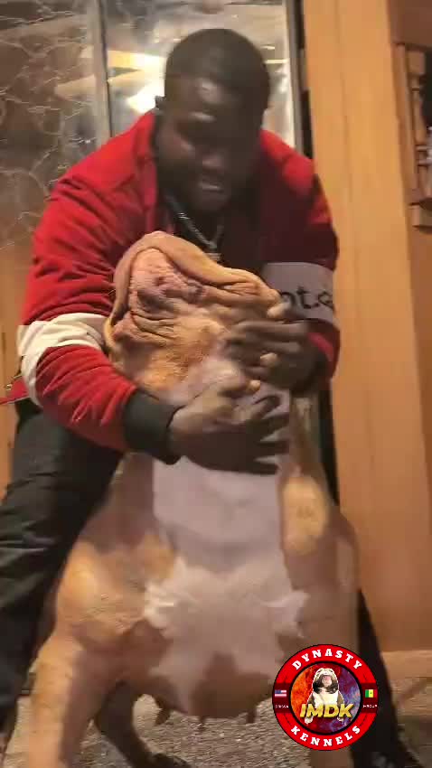 @IMDK
