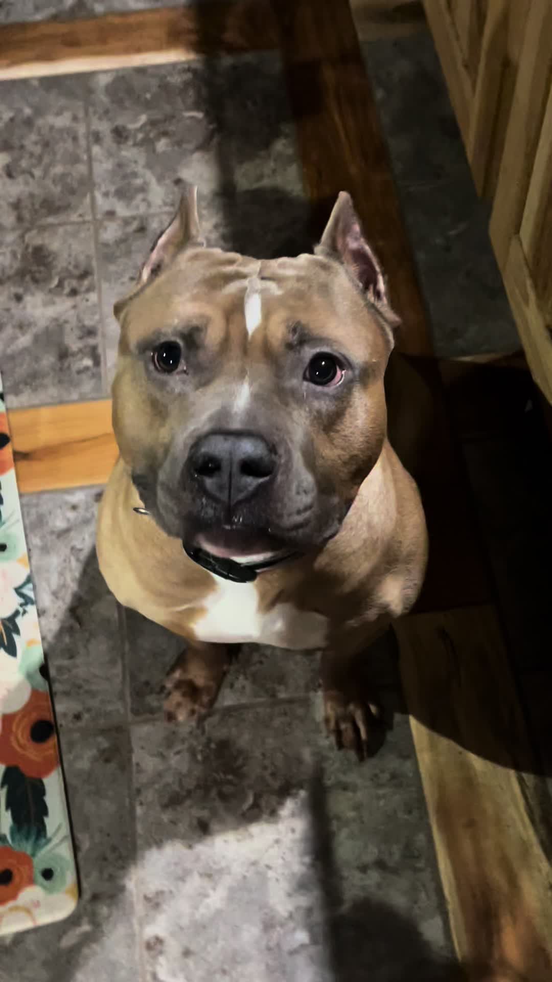 @TheBrownCompound