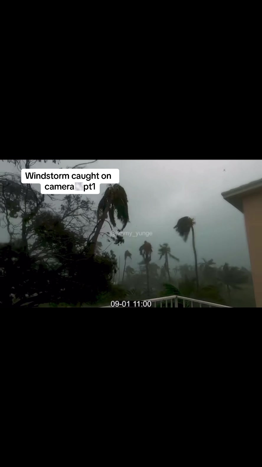 @natural disasters