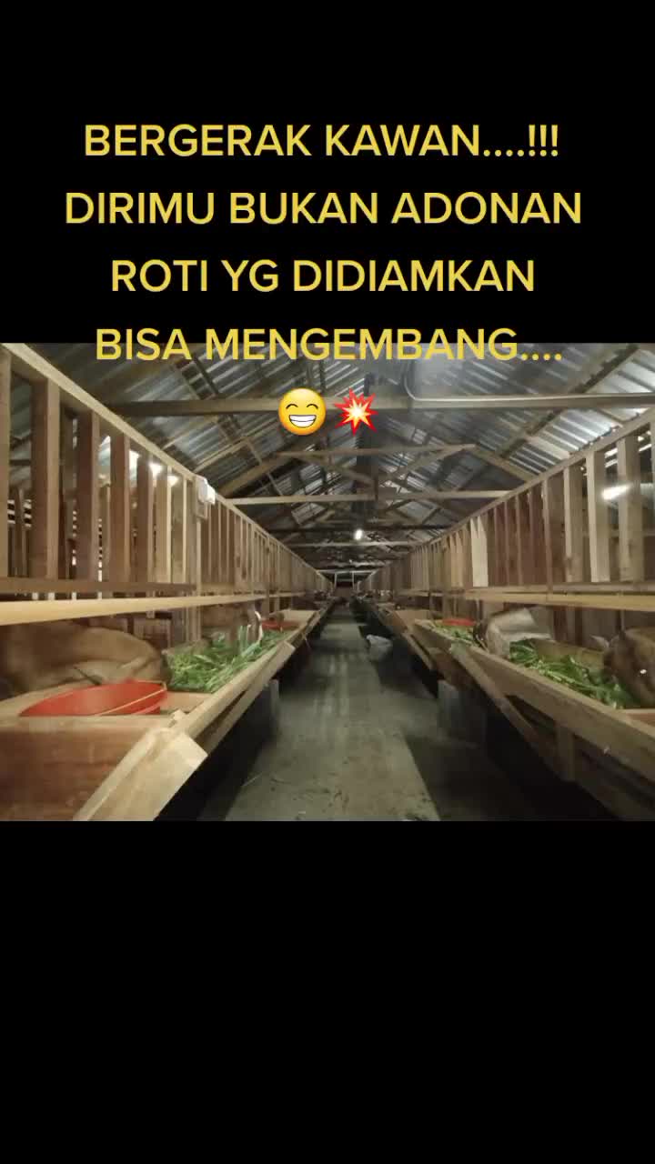 @MULYO JOYO FARM