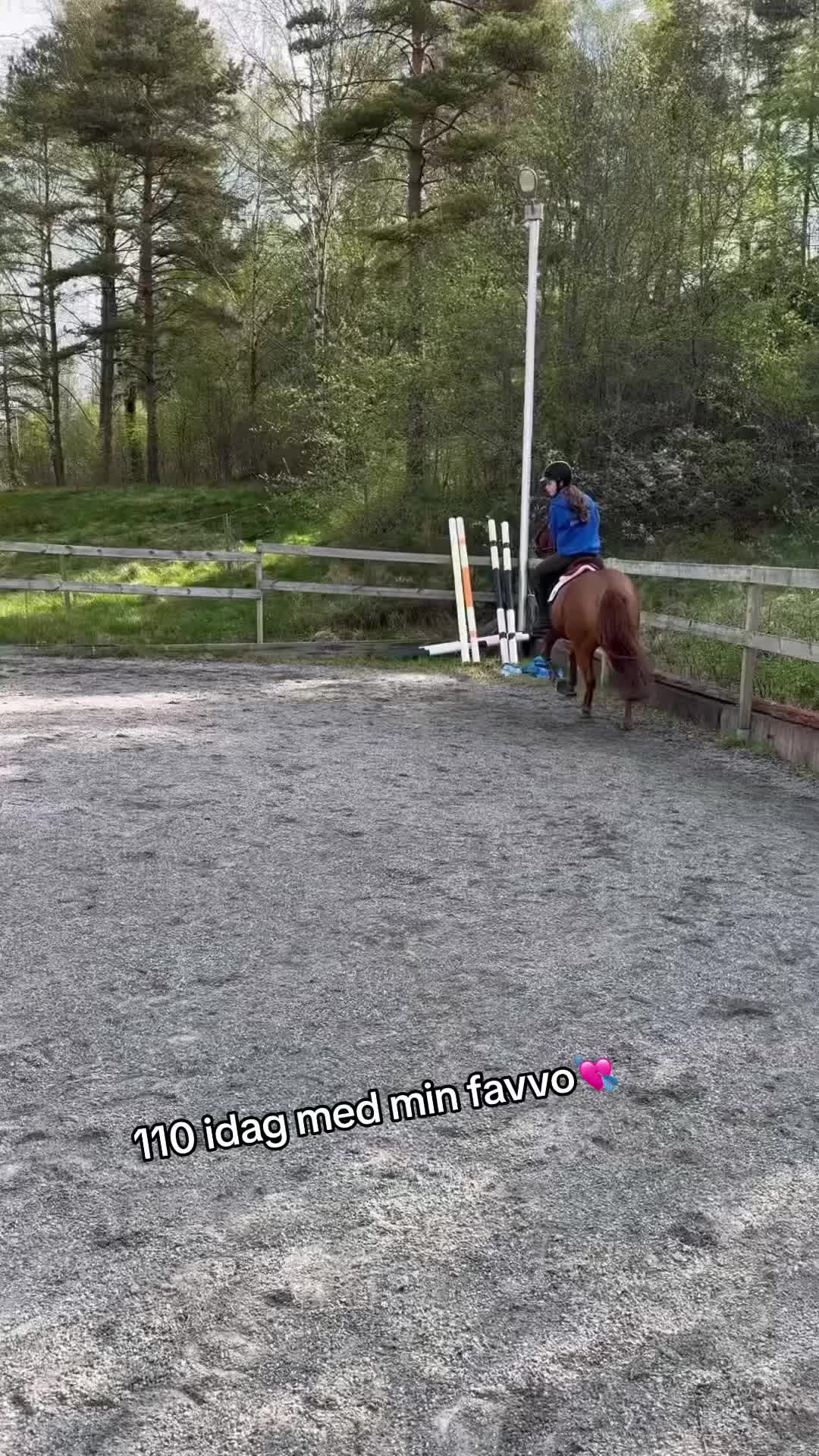 @loucie_a