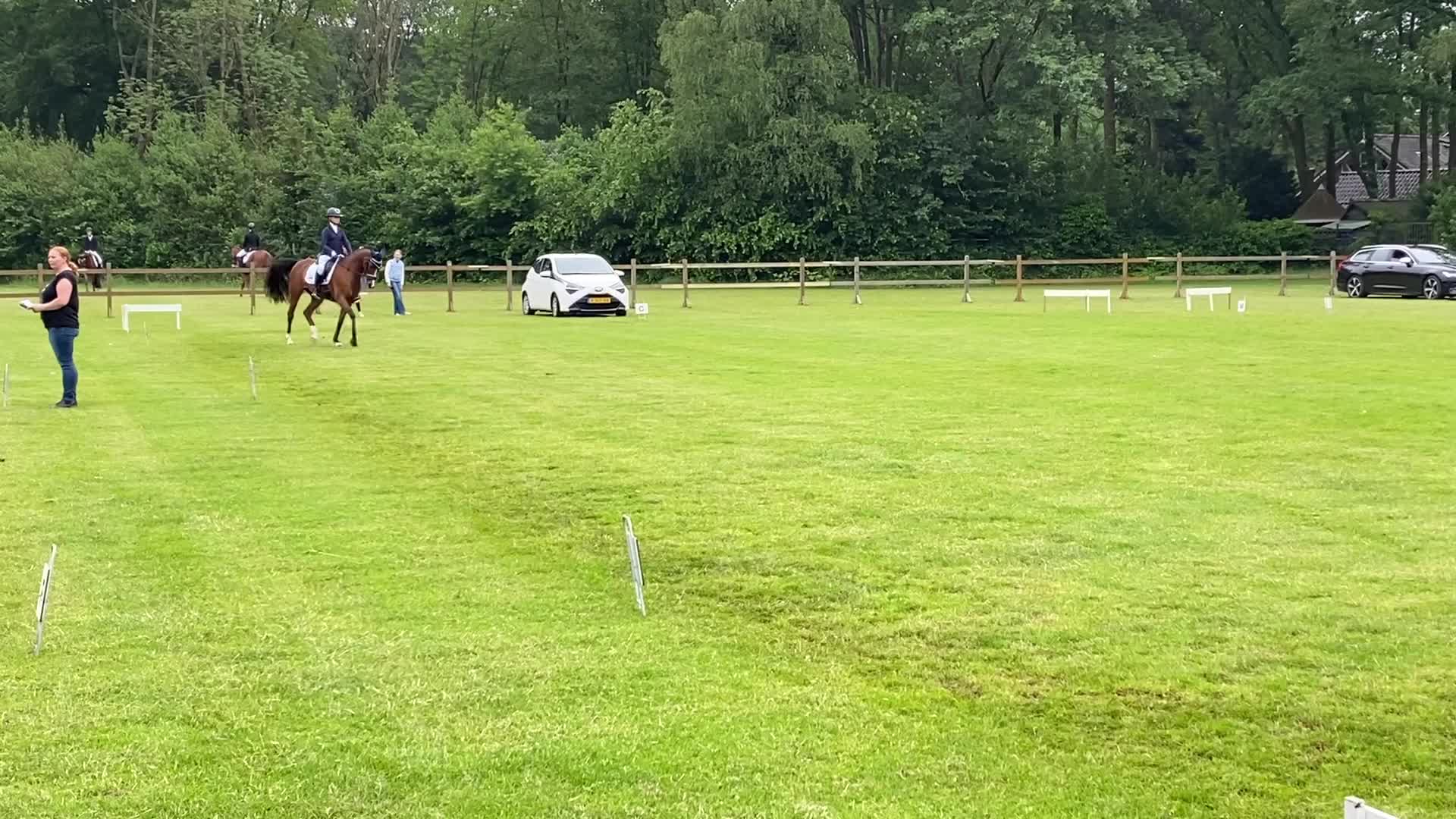 @allroundxgroep🩷🐴
