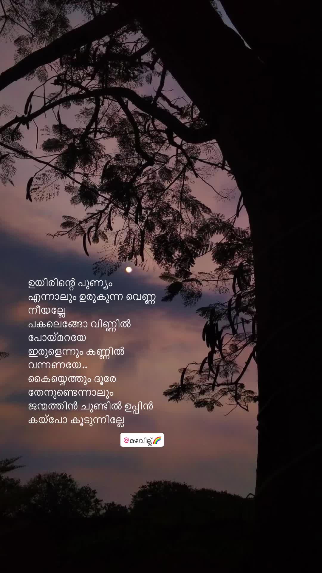 @മഴവില്ല്🌈