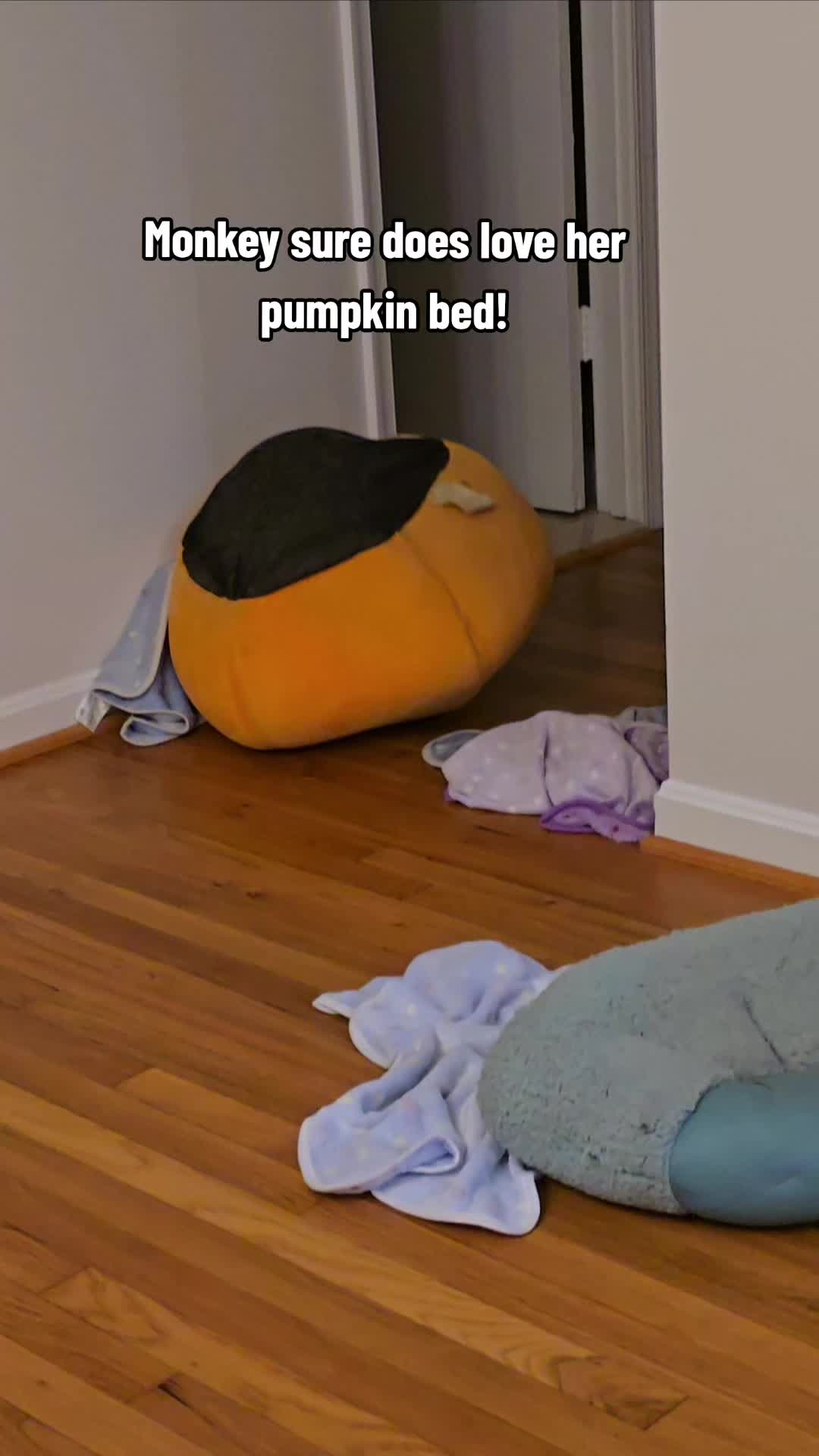 @Bah Humpug