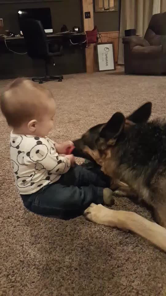 @Kolt - GSD
