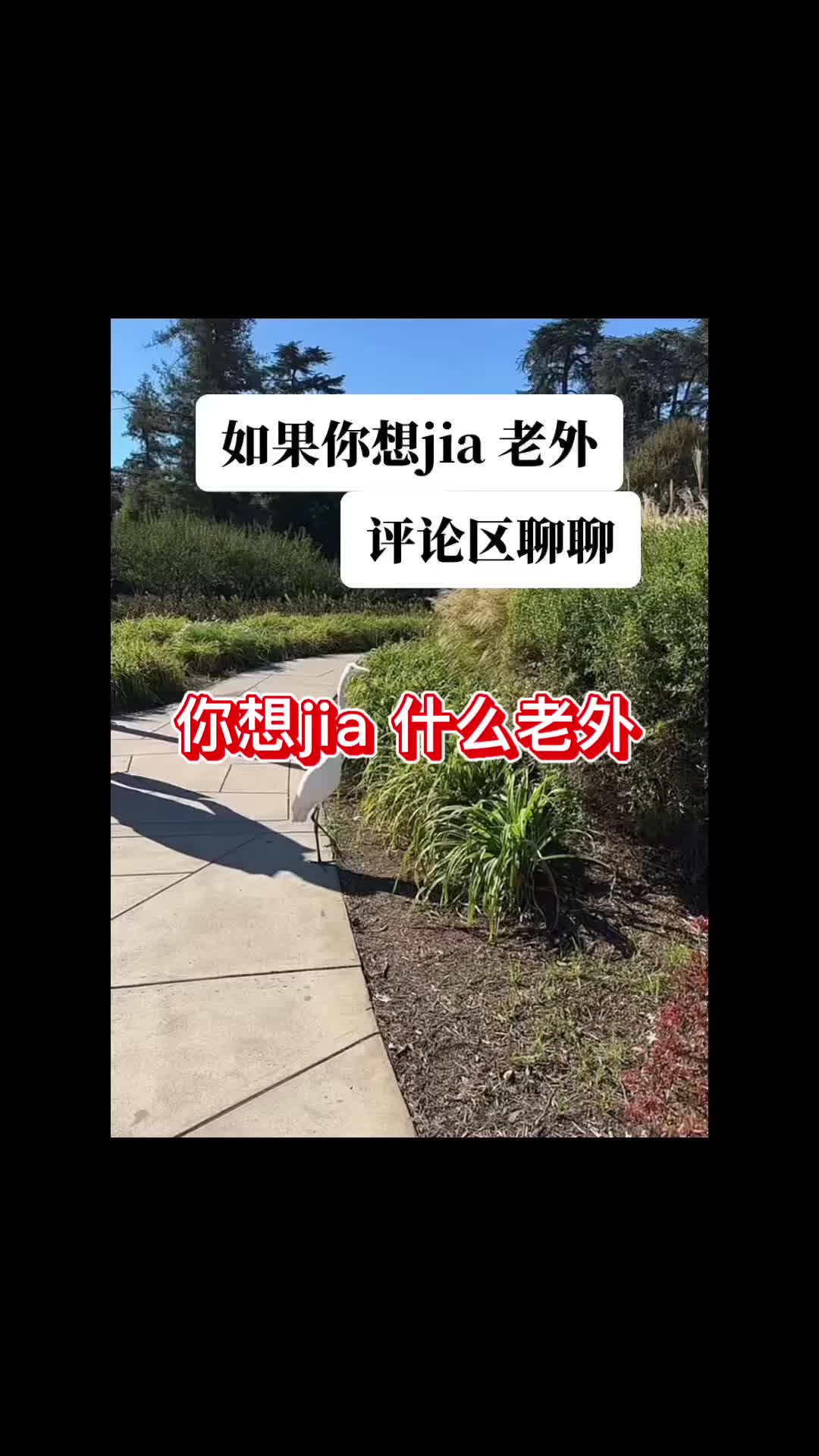 @洛杉矶大表姐 LA Big Sis