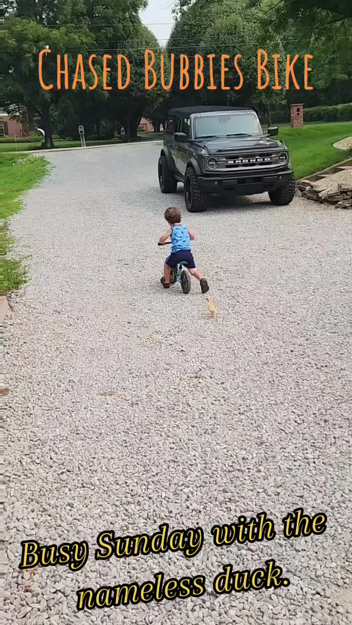 @Duckin_Around