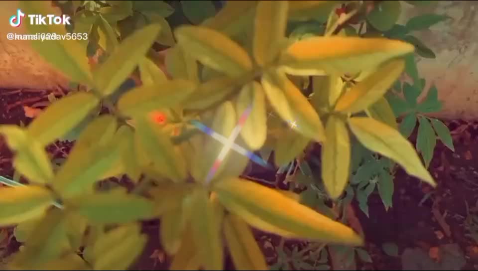 @user5072849996927
