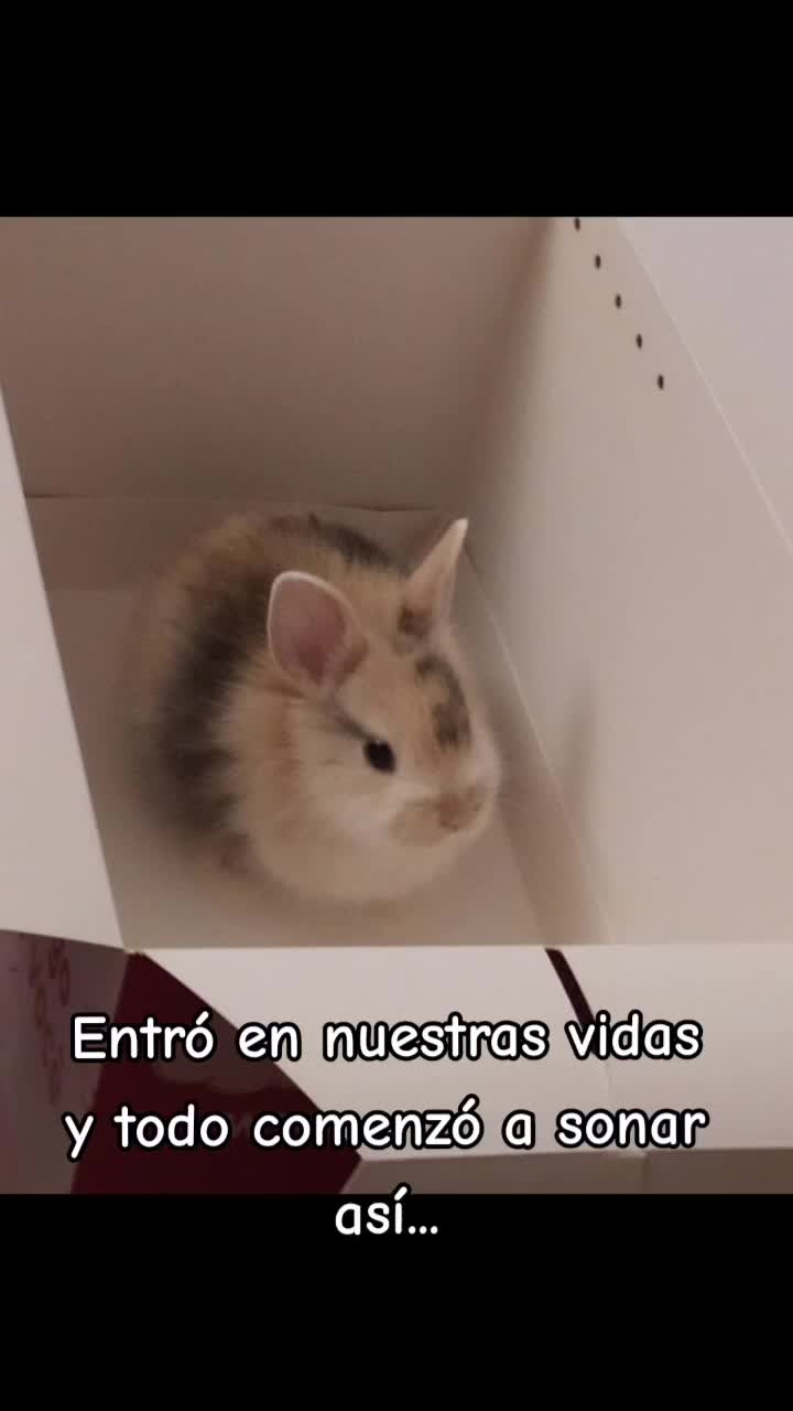 @María Jesús