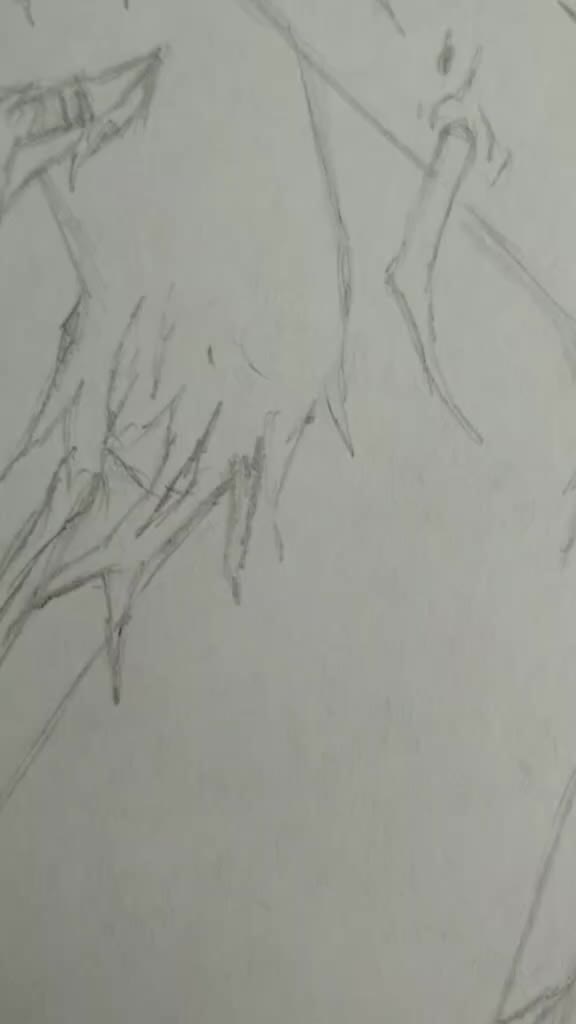 @jailen.mari.1209