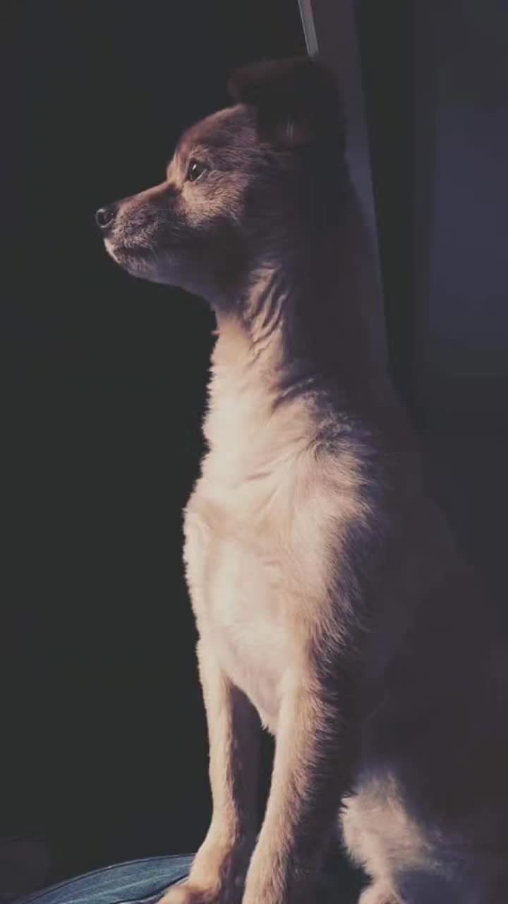 @ℭ𝔦𝔫𝔷𝔦𝔞𝔏𝔞𝔇𝔦𝔳𝔞