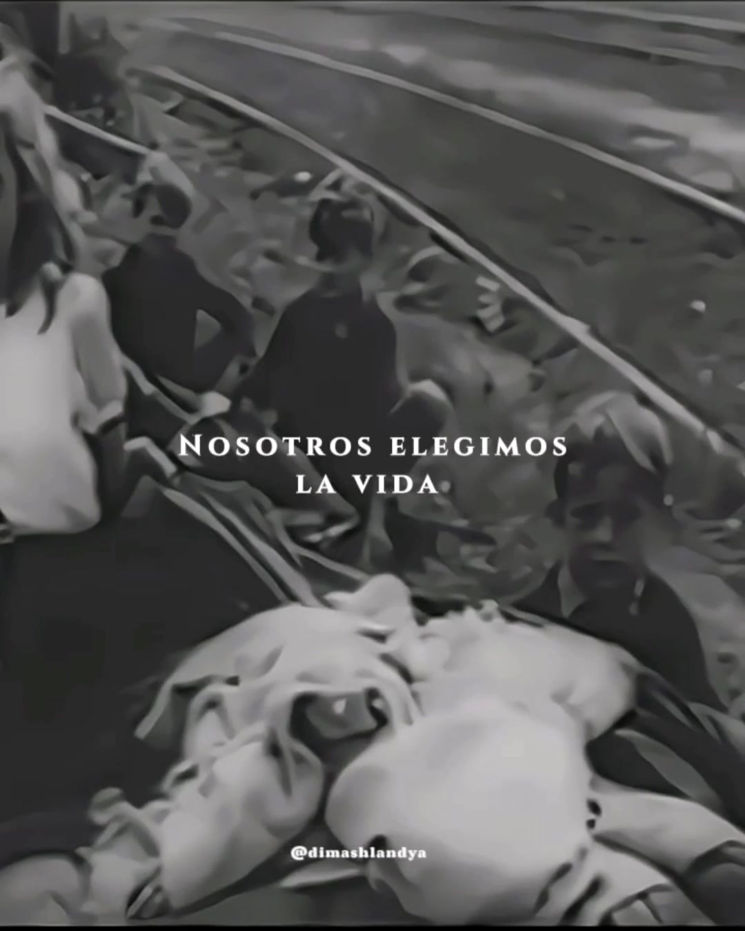 @flauta mágica con patas 🧚♂️