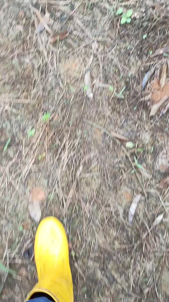 @𝑴𝒂𝒓𝒌_𝑽𓆩🤗𓆪