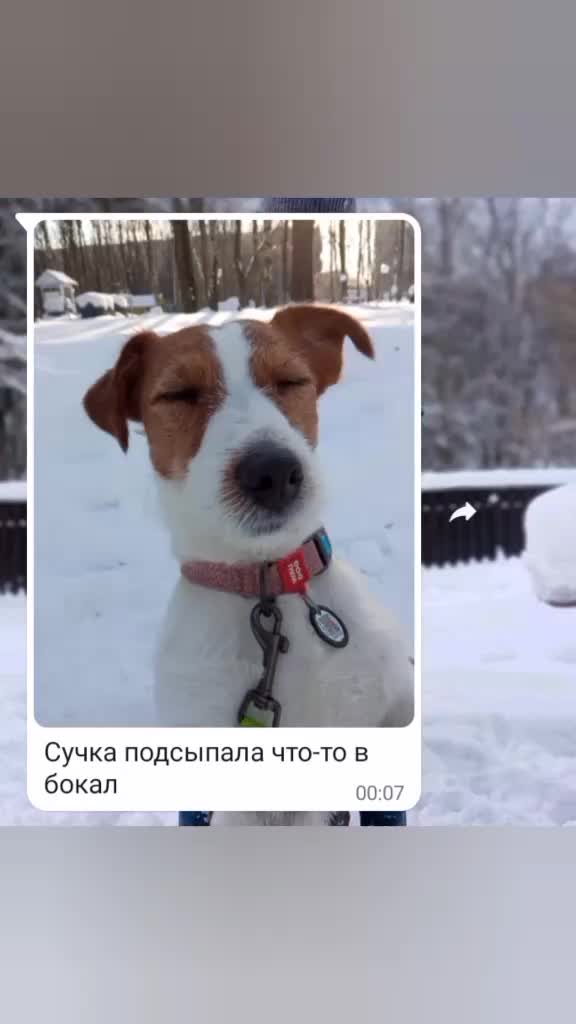 @Тигрёнок🤫