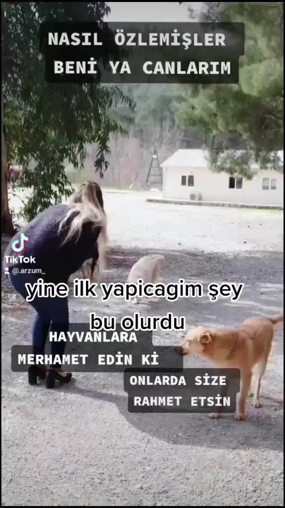 @(โแดโโฟ)_๐
๐
ก๐
ฉ๐
ค๐
_(โแดโโฟ)