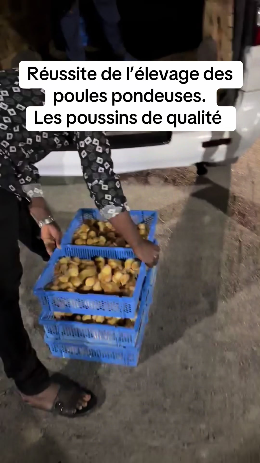 @Gragologue Solidarity