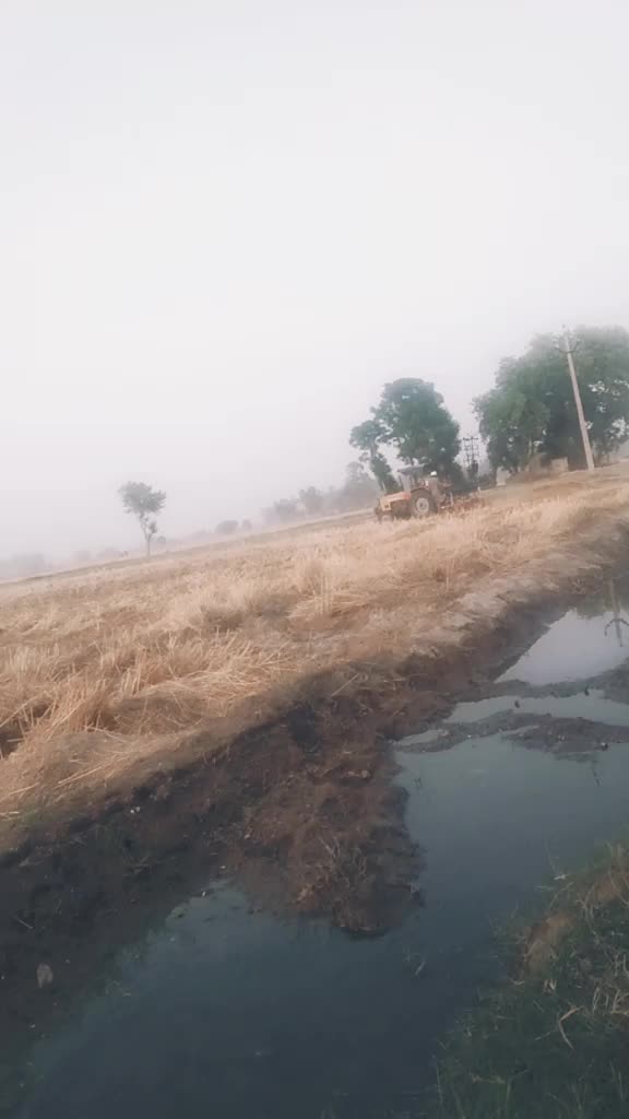 @Avijot Singh721