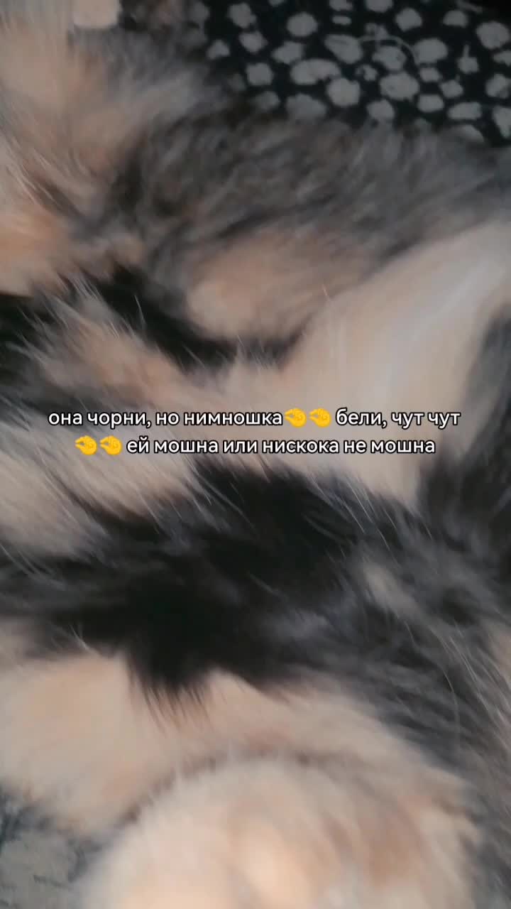 @рыжая