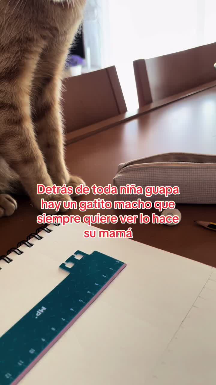@🖤África🖤