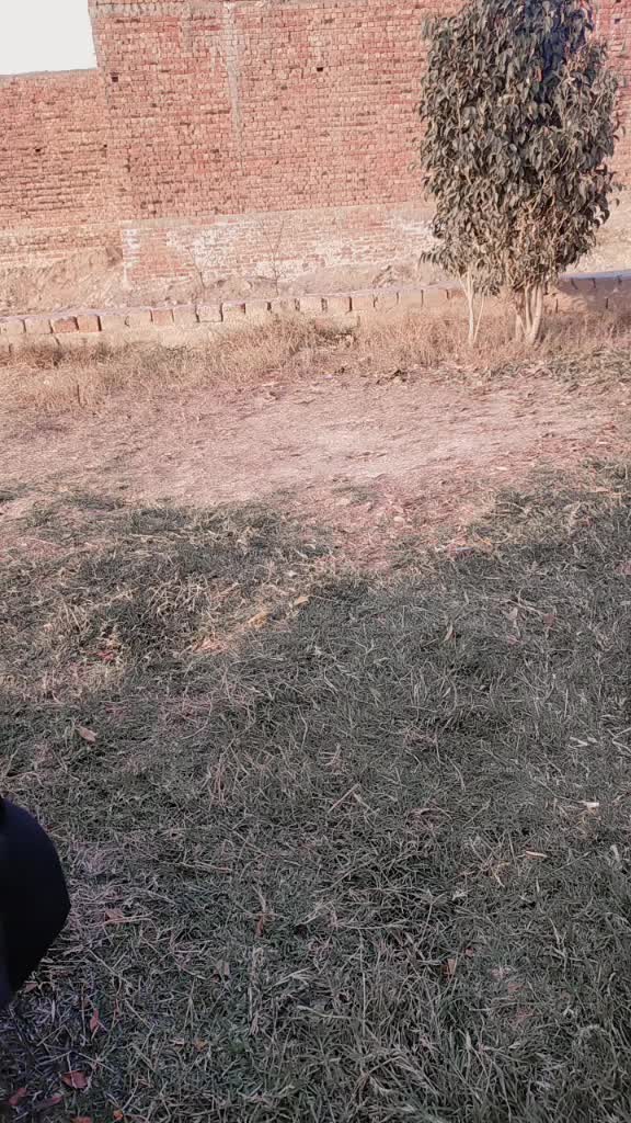 @🥰جناب کو جعفر پرنس کہتے ہیں🤟