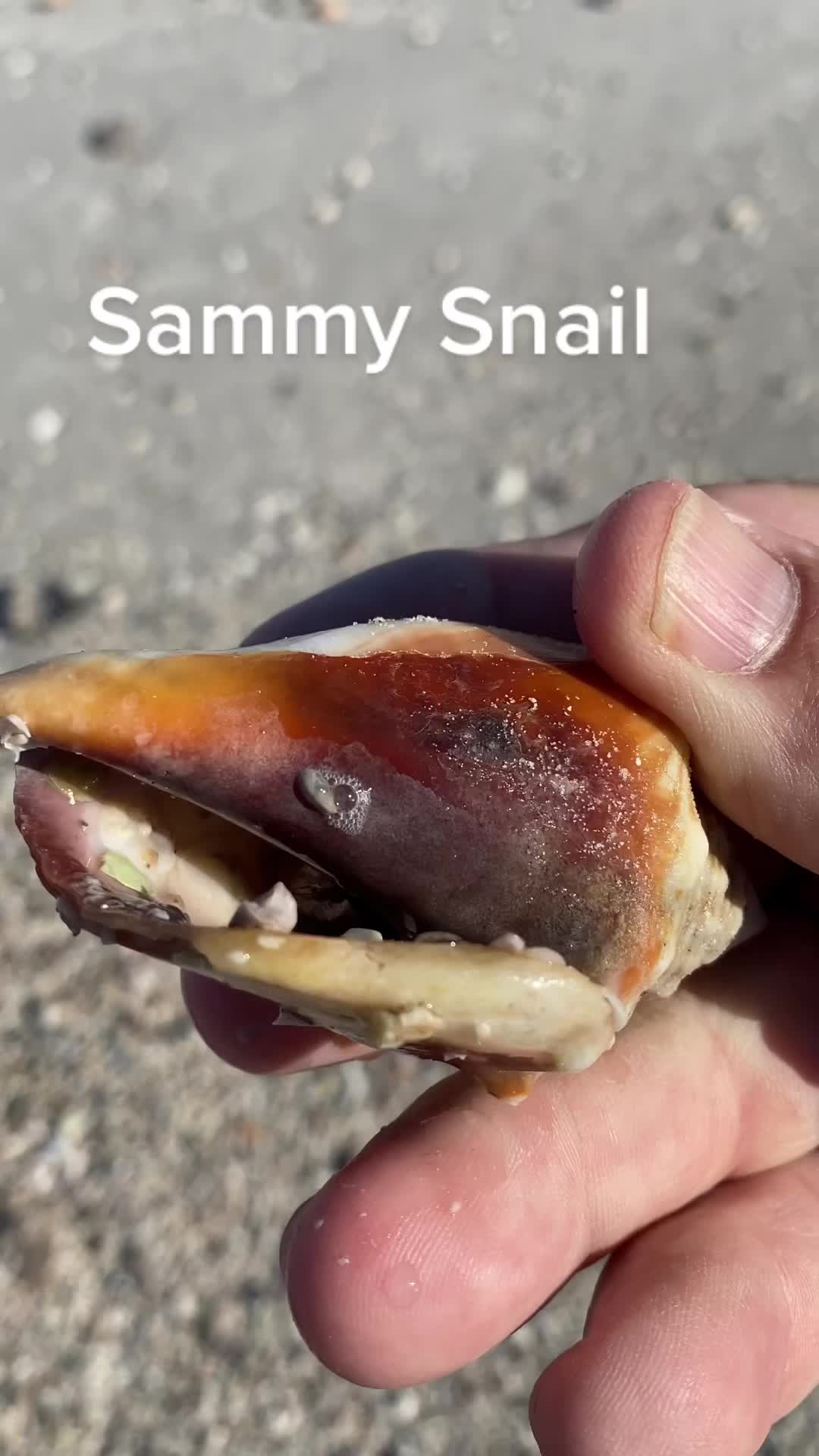 @luckyteeth