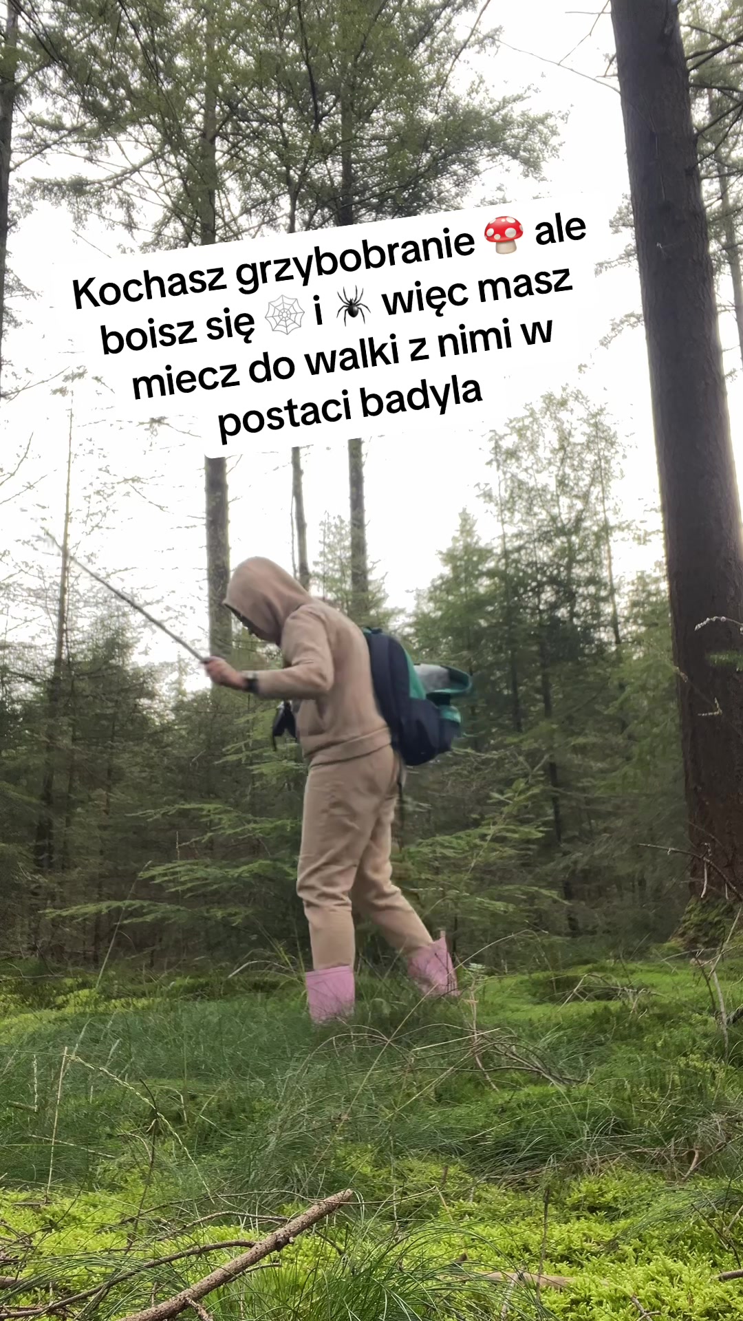 @Zofka