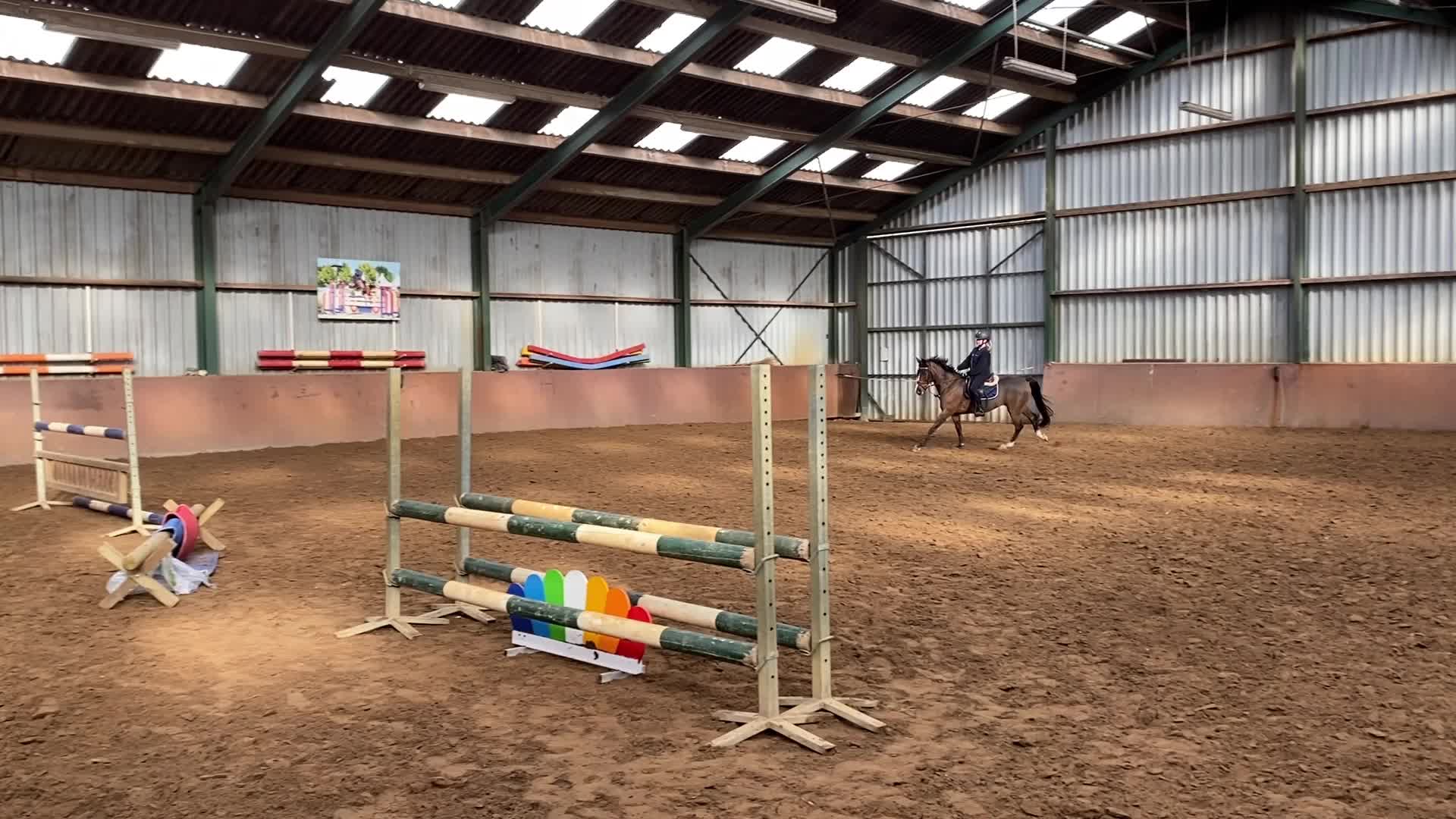 @allroundxgroep🩷🐴
