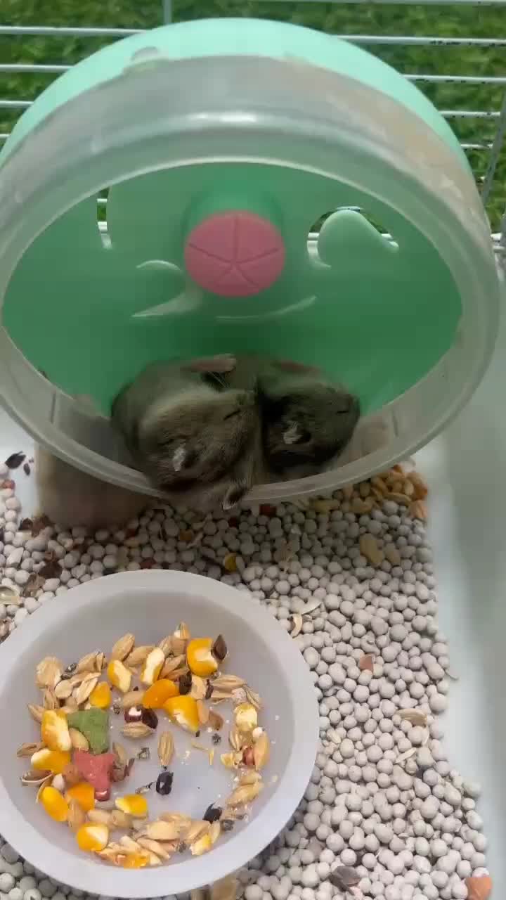@๐ท๐ฐ๐ผ๐
๐
๐ด๐
