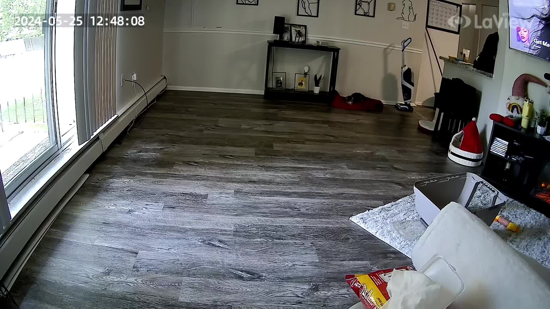 @KittyFam