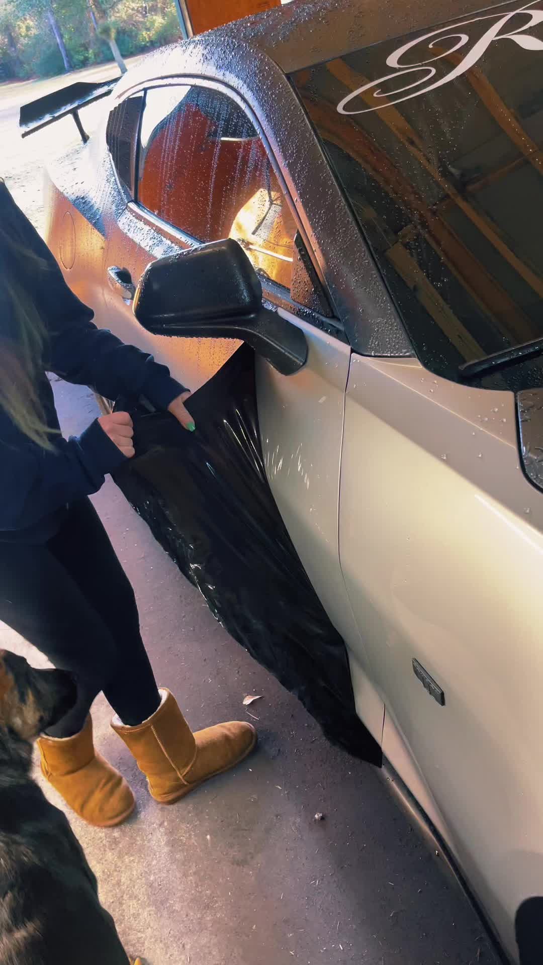 @Rowdys Dipping Vehicle Wraps