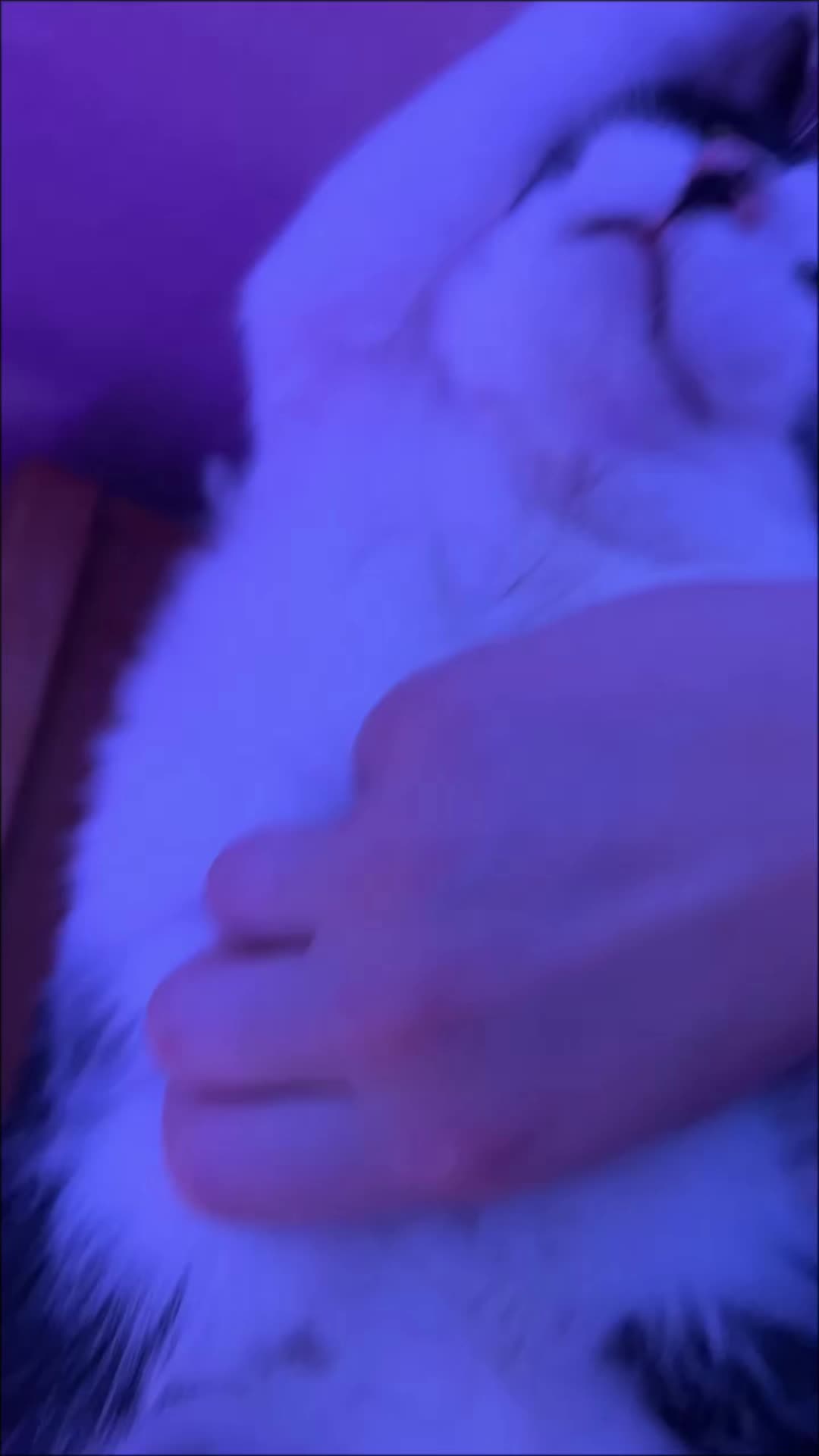 @cieraxmist