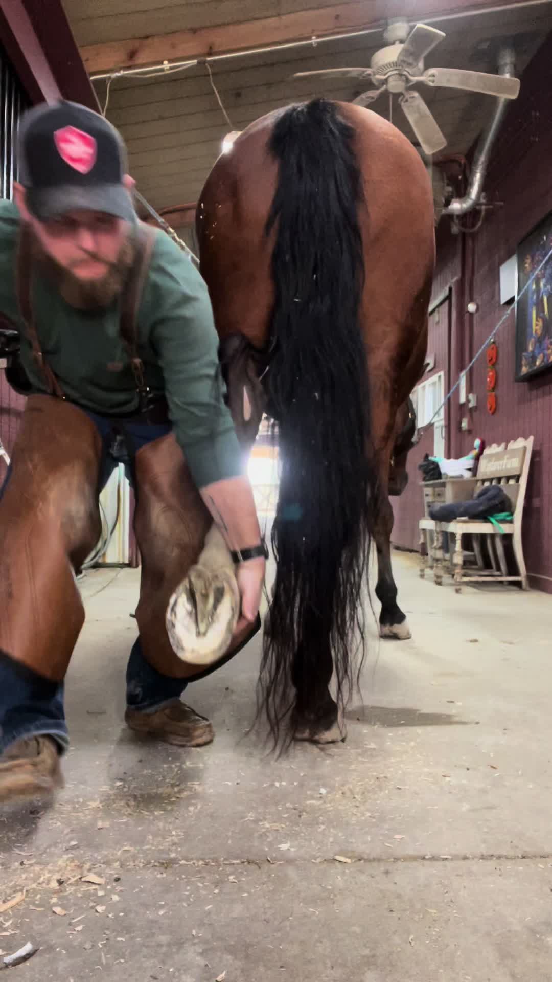 @swansonstuart46