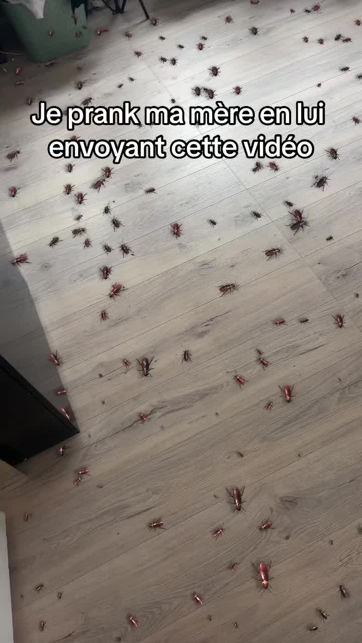 @Nora