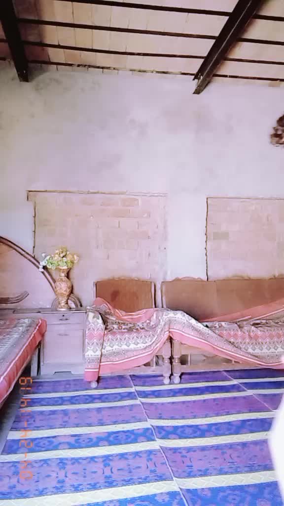 @syedshahzaibabbas5