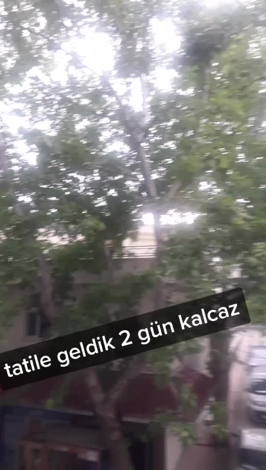 @BLİNK=BTS