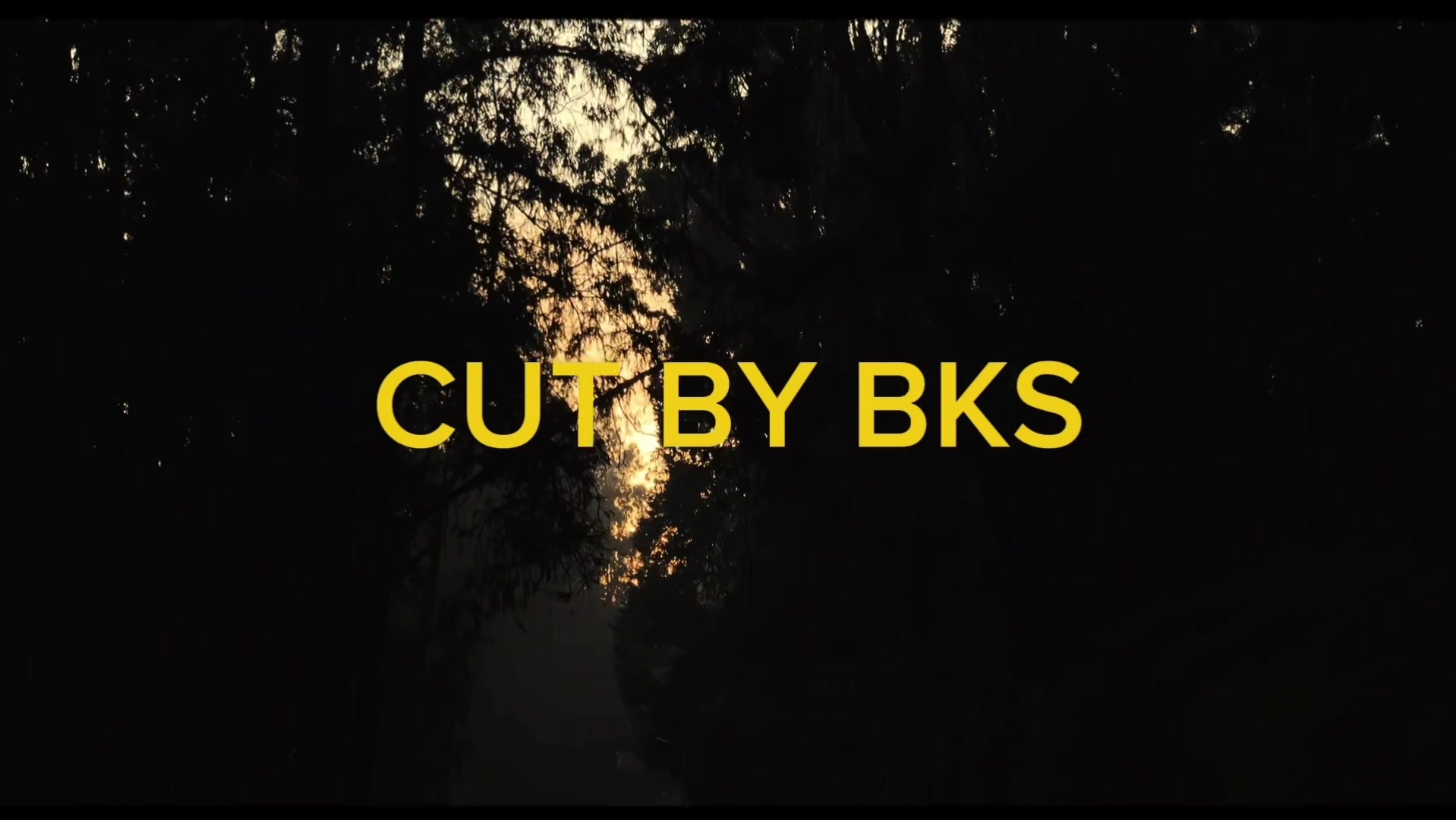 @CUT BY BKS