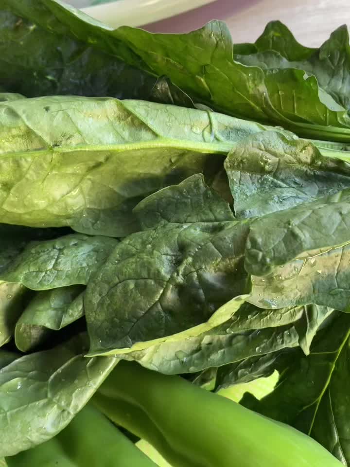 @🍀ܘܪܕܐ 🍀