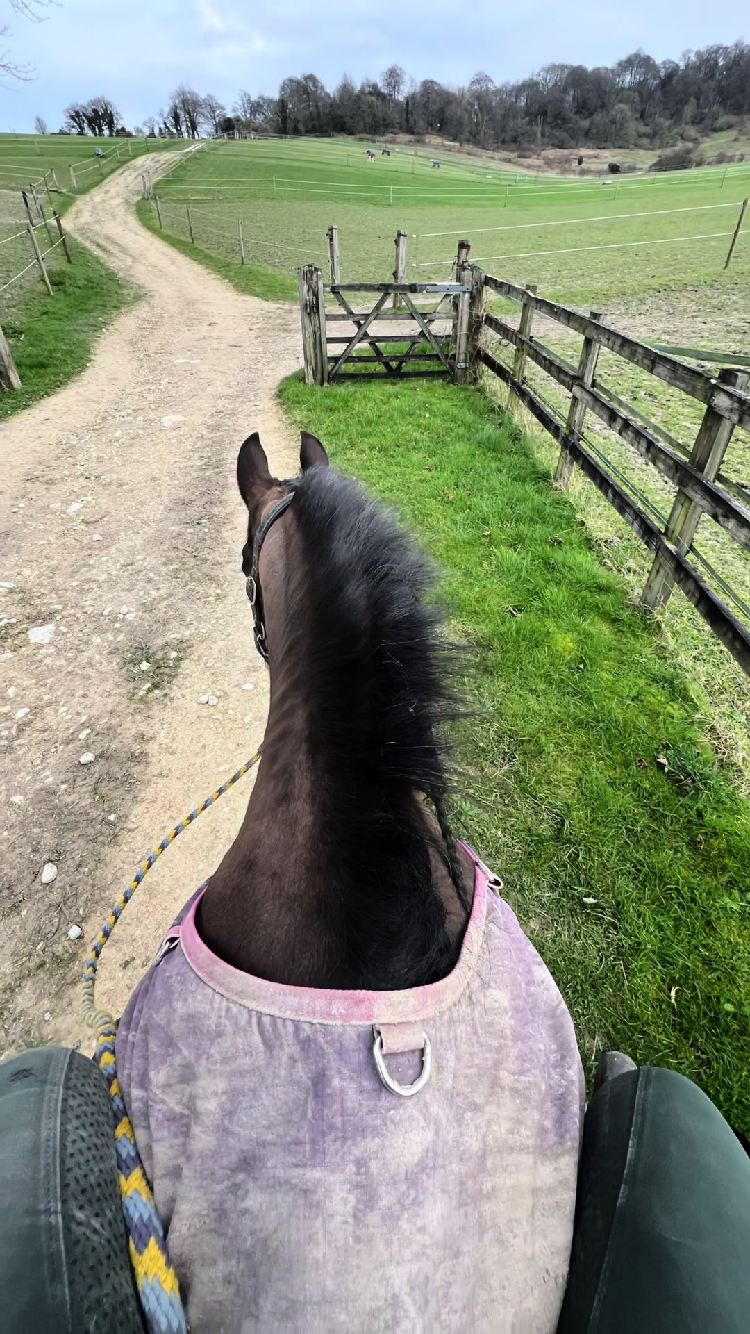 @A_G_Dressage