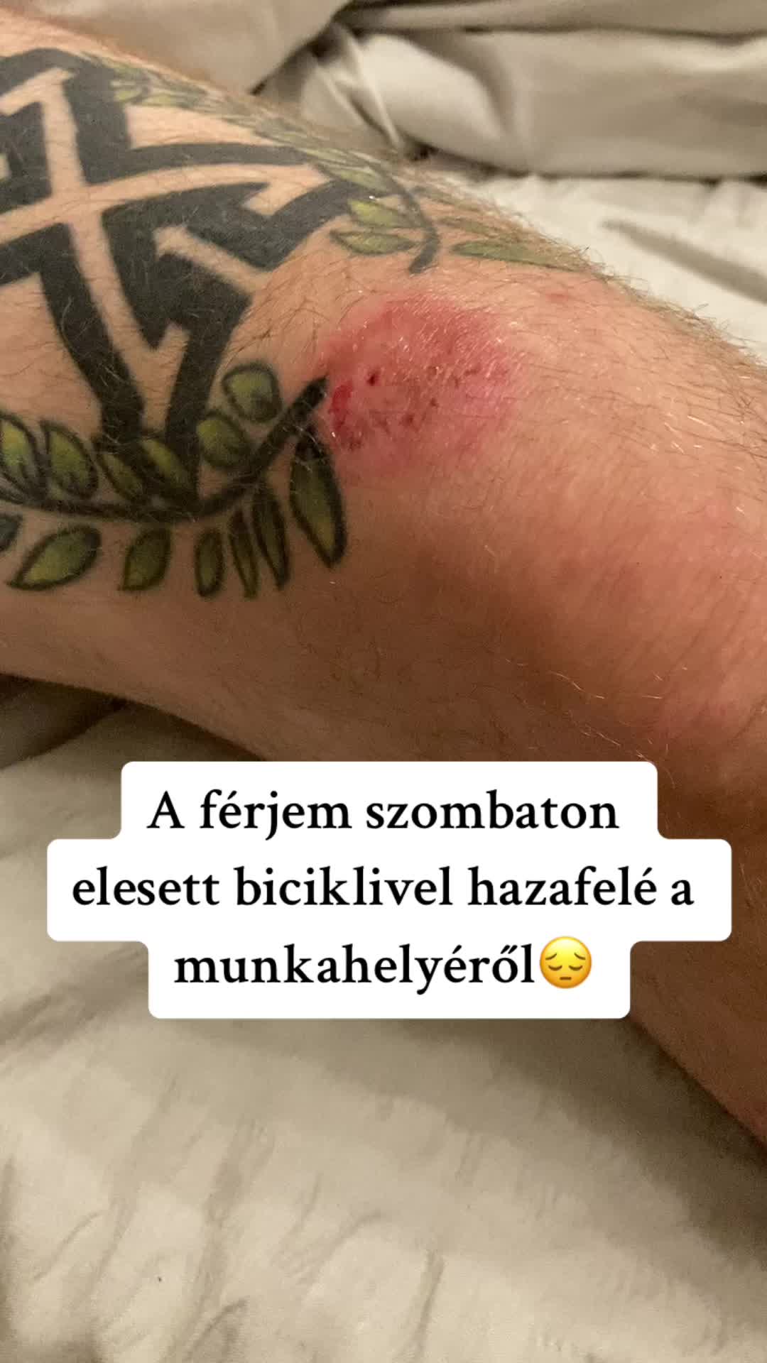 @TerraKert | Ha&aacute;sz-Brandt Di&aacute;na