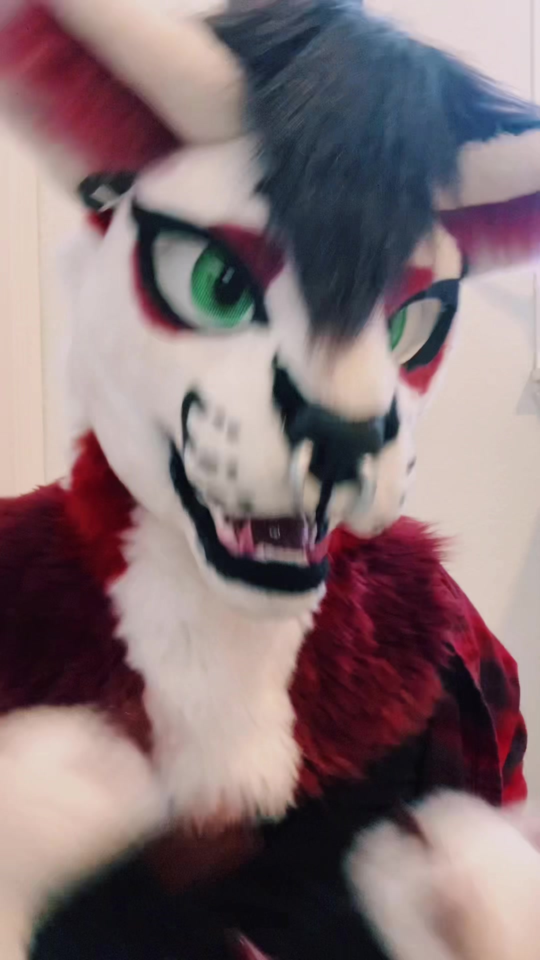 @bloomingcaracal
