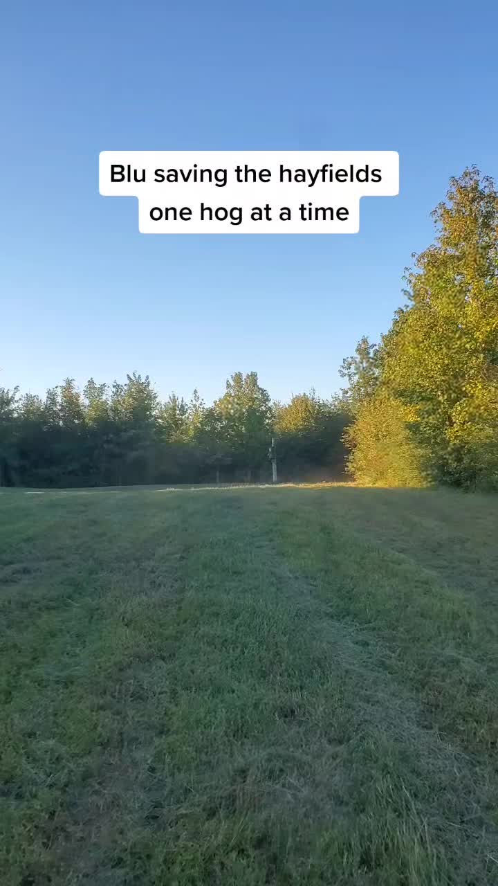 @TexasMudder89
